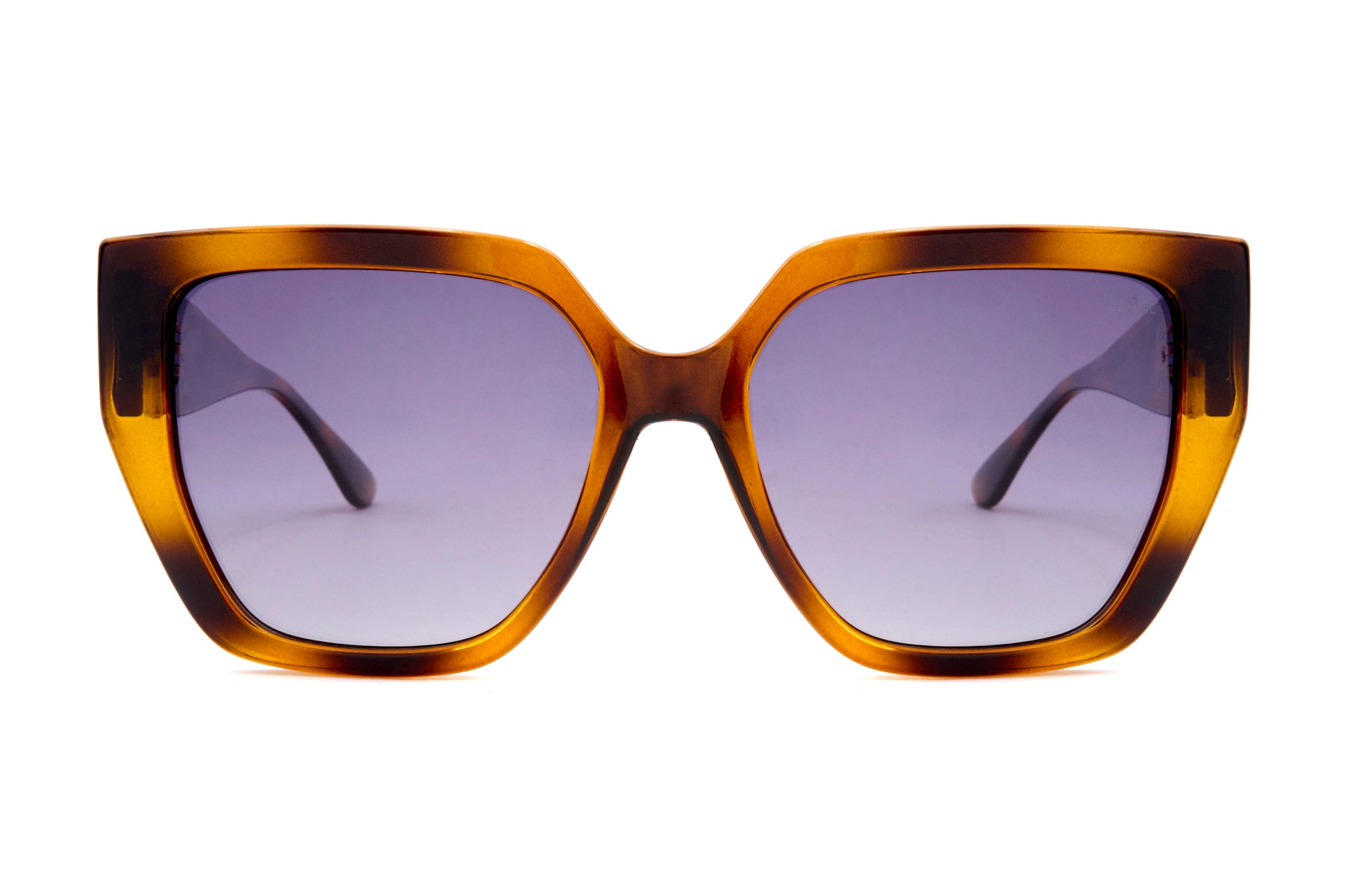 elizabeth donatella 03 pol