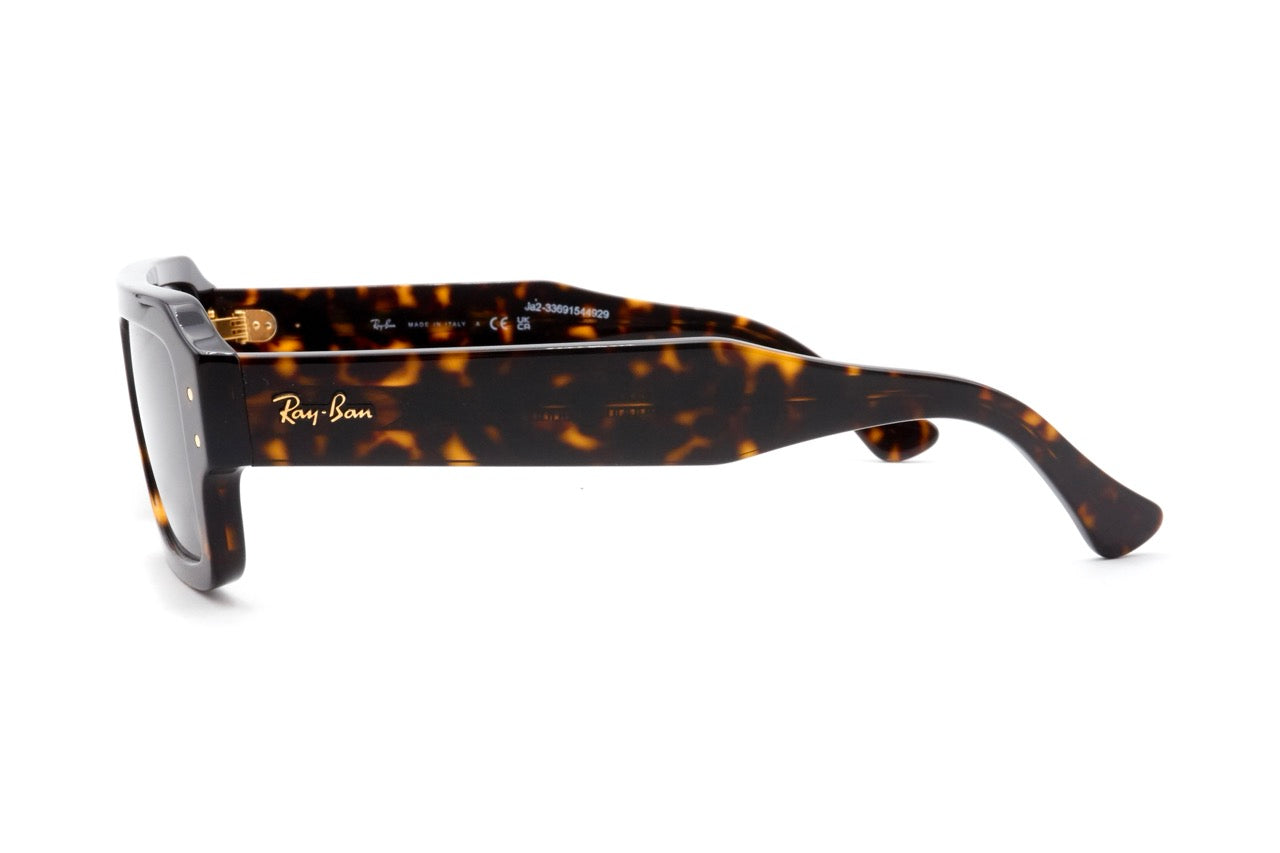 ray-ban LUKAS 4454 53 1359b1