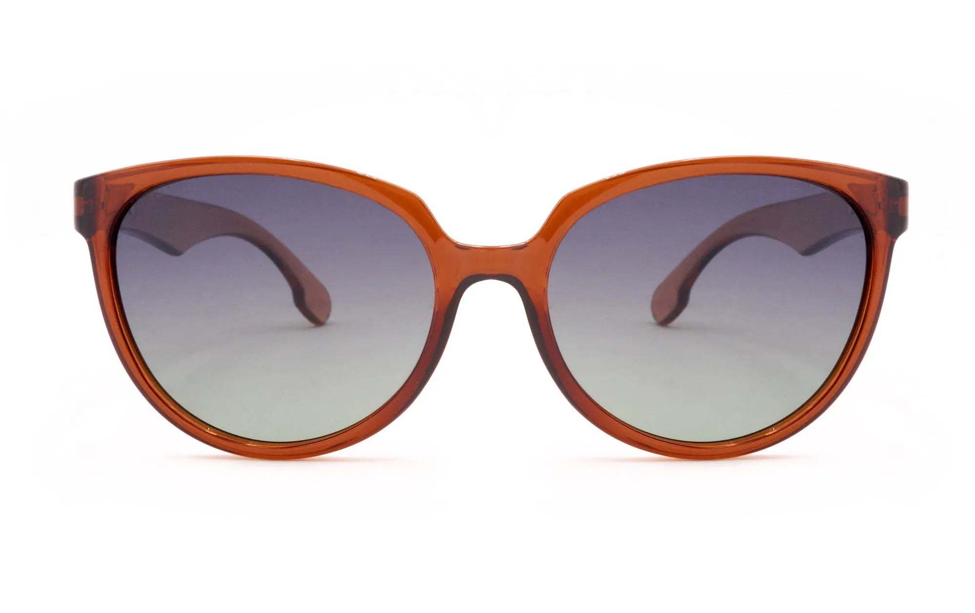 rusty see life brown drt04 pol - Opticas Lookout
