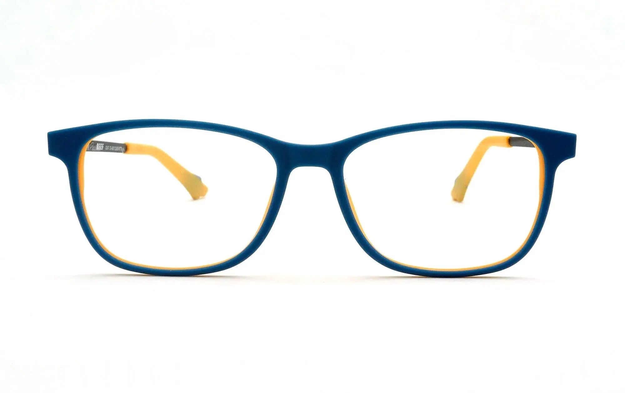 REEF 5239 01 - Opticas Lookout