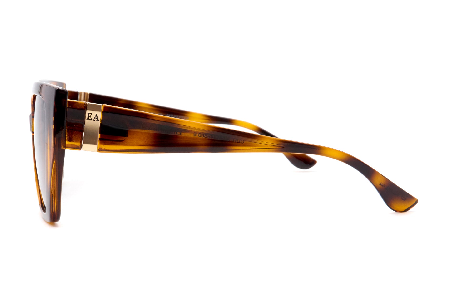 elizabeth donatella 03 pol