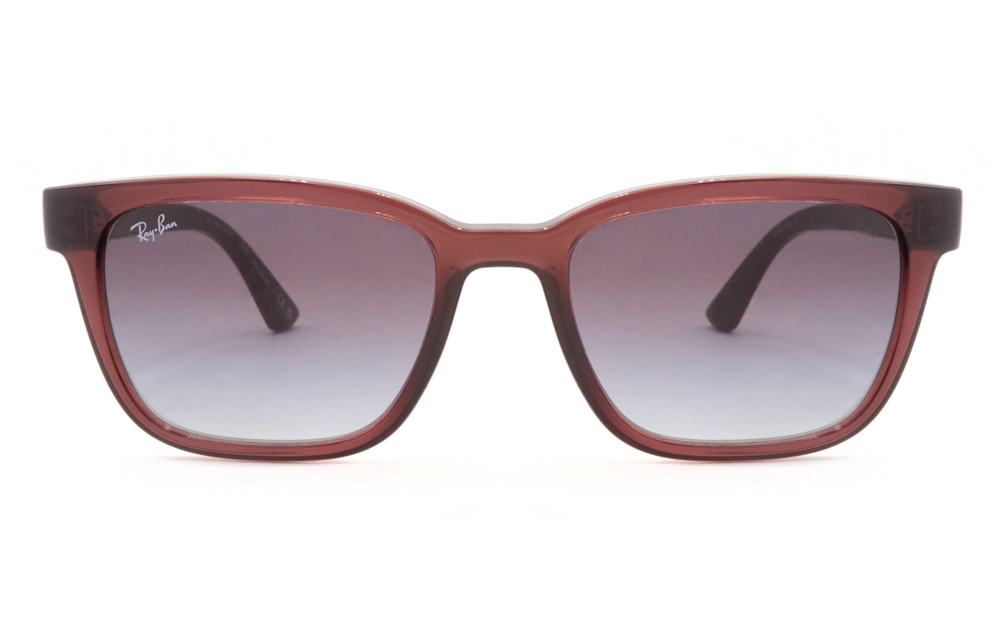 ray-ban 4448l 67988g