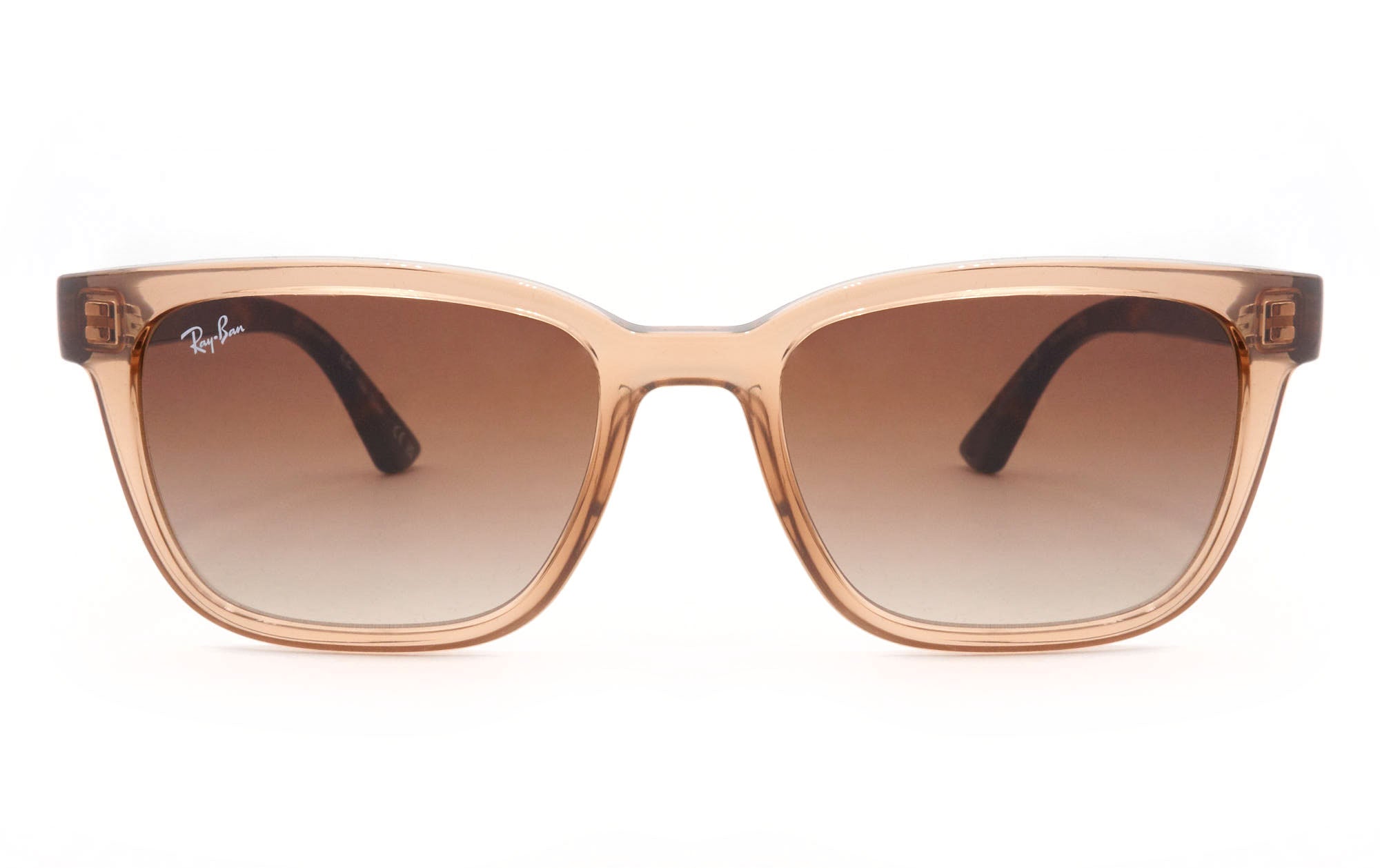 ray-ban 4448l 679913