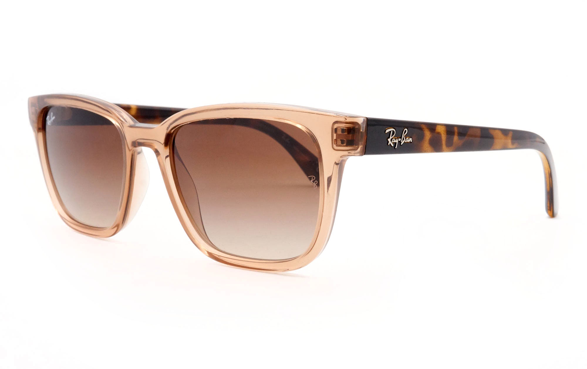 ray-ban 4448l 679913