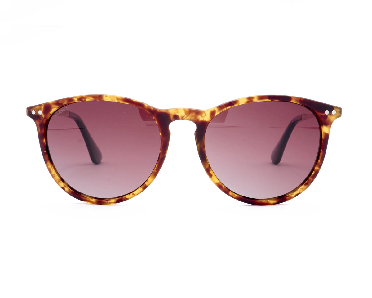 rusty zion f223jgold/drt02 pol