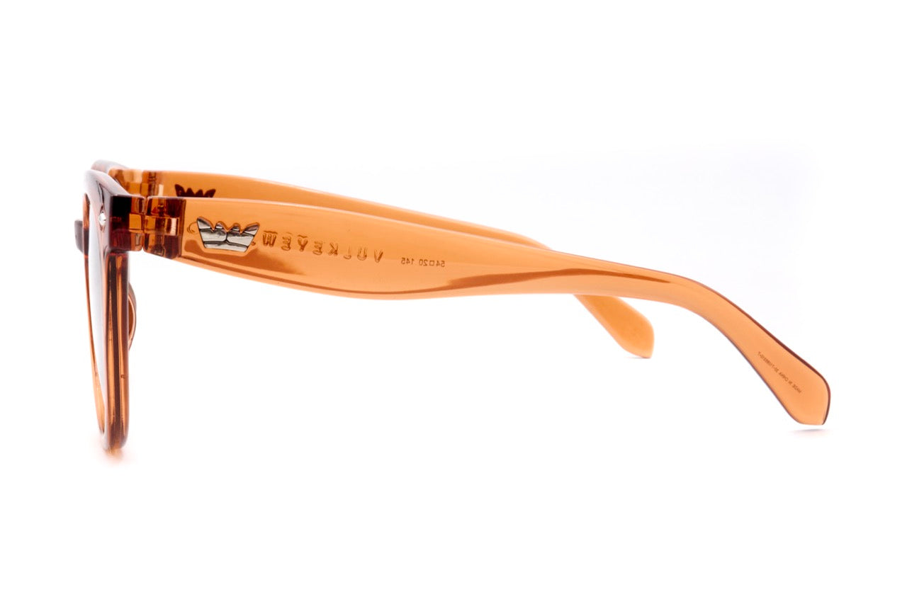 vulk predict lbrown dt04 pol