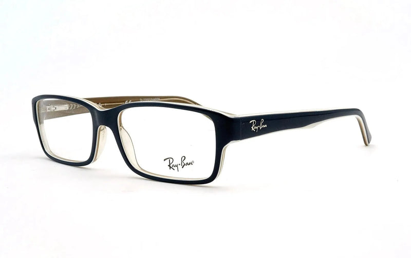 RAY-BAN 5169 8119