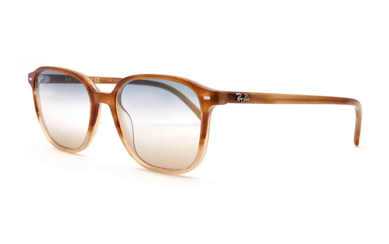ray-ban 2193 leonard 1328gd