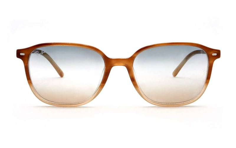 ray-ban 2193 leonard 1328gd